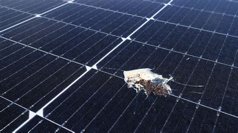 Dont Be Fooled: 7 Solar Panel Scams to Know and。